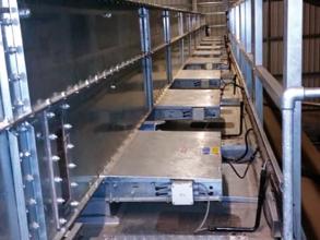 Perry of Oakley drier filling conveyor