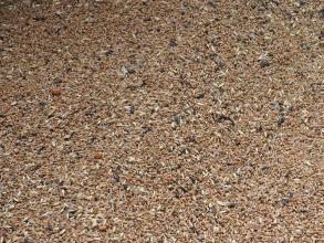 Perry of Oakley grain before cleaning