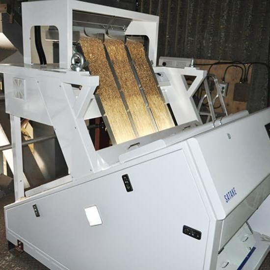 Perry of Oakley colour sorter