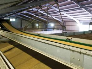 Perry of Oakley level filling conveyor